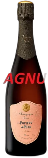 photo du vin Champagne Veuve Veuve Fourny Rosé Brut 1er Cru Magnum