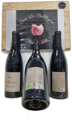 photo du vin Domaine Montvac Gigondas Adage 2023 Rouge Domaine Montvac