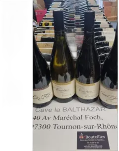 illustration du vin Domaine François Merlin Condrieu Chanson 2022