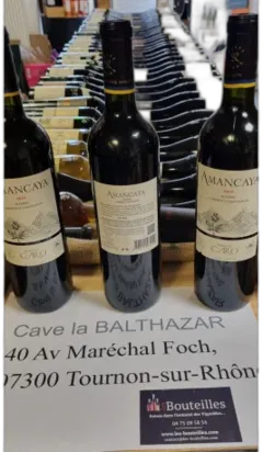 photo du vin Amancaya Rouge 2019 Bodegas Caro Argentine