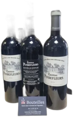 aperçu du vin Château Pindefleurs, Saint-Émilion Grand Cru 2016