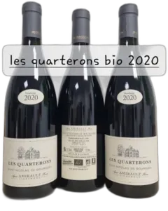 illustration du vin Saint Nicolas de Bourgueil Clos des Quarterons les Quarterons 2020 Domaine Amirault