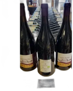 photo du vin Domaine de Béatrice et Pascal Lambert Chinon Rouge les Puys 2019 Magnum