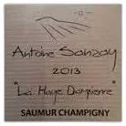 photo du vin Antoine Sanzay Saumur Champigny la Haye Dampierre 2014