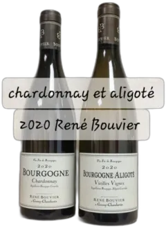 vue du vin Domaine Rene Bouvier Bourgogne Aligoté 2020 Vieilles Vignes