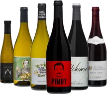 illustration du vin la Sélection d’Automne