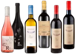 vue du vin Découverte de Reignac