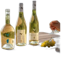 image du vin Découverte l’Essentiel du Domaine Terra Vecchia