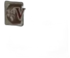 illustration du vin Vosne-Romanée