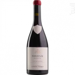 aperçu du vin Santenay Clos de Tavannes 1er Cru