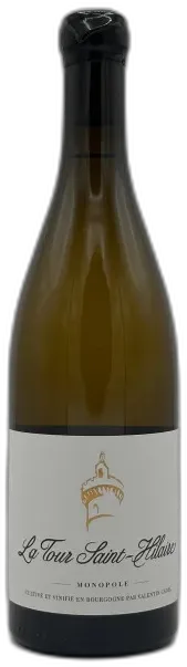 aperçu du vin la Tour Saint Hilaire 2022 Bio Valentin Cadel