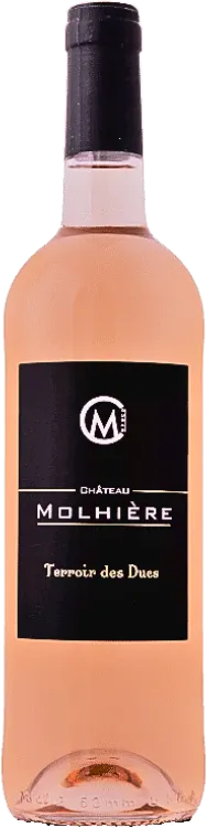 illustration du vin Côtes de Duras Cuvée "Terroir des Ducs" Château Molhière
