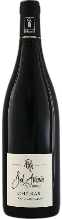 vue du vin Chénas Domaine Bel Avenir