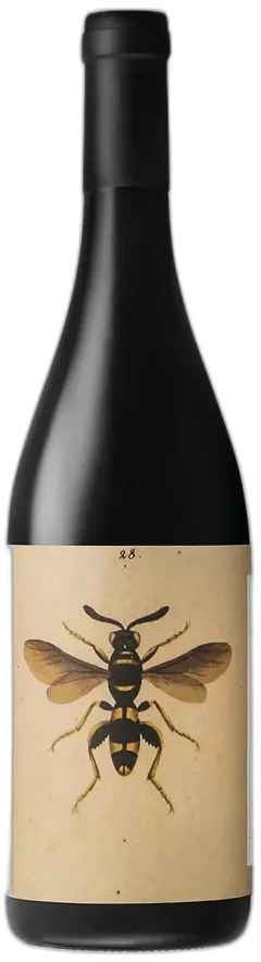photo du vin Romagna Doc Sangiovese Predappio Godenza Noelia Ricci 2022