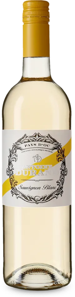vue du vin Sauvignon Blanc 2025