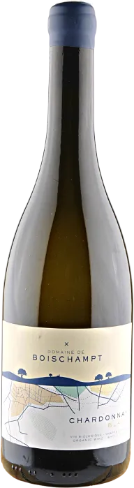 vue du vin Domaine de Boischampt Beaujolais Villages 2024