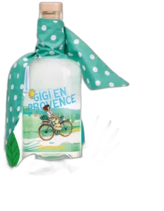 vue du vin Gigi en Provence Gin Français Bio