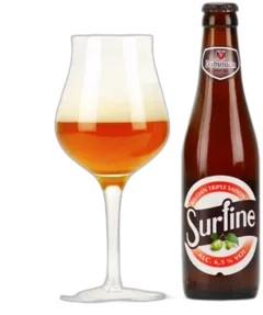 vue du vin Surfine Bière Belge Triple de Saison