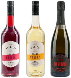 photo du vin Lot Découverte 3 Vins Château Monluc
