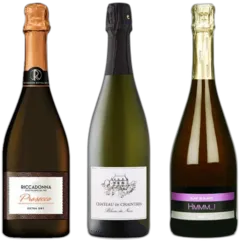 image du vin Lot Découverte de 3 Vins Pétillants