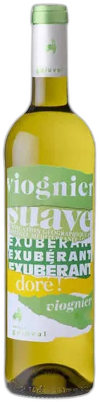 vue du vin Domaine de Galuval Viognier Vin Igp Méditerranée
