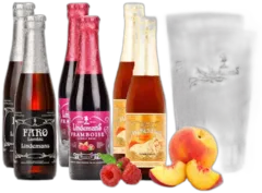 photo du vin Pack Découverte 6 Bières Lindemans 2 Verres