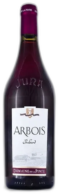 vue du vin Domaine de la Pinte Poulsard 2020