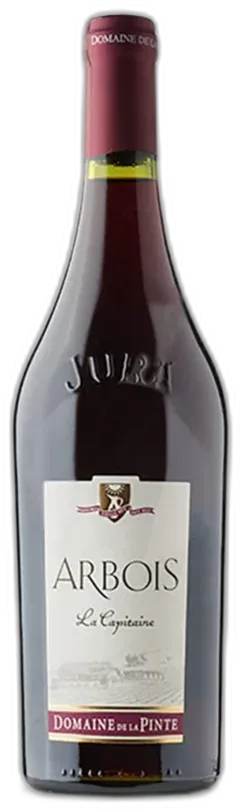 vue du vin Domaine de la Pinte la Capitaine 2019