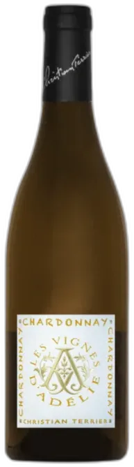 vue du vin les Vignes d’Adélie Chardonnay
