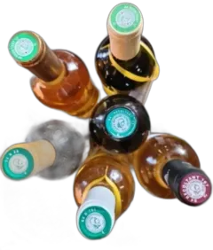 photo du vin Découverte des Typicités du Jurançon