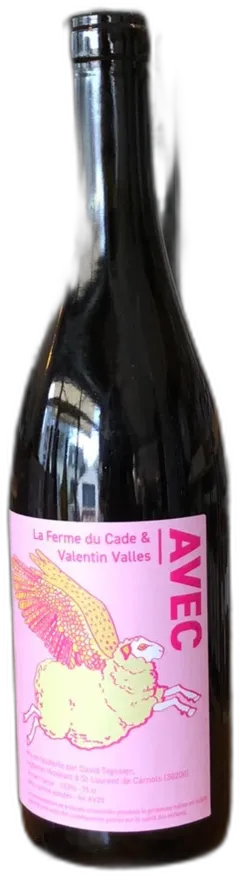 aperçu du vin 2022 la Ferme du Cade et Valentin Valles