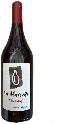 aperçu du vin la Marcette 2023 Poulsard, Arbois-Pupillin, Kevin Bouillet