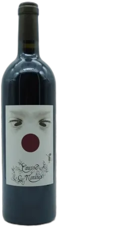 vue du vin Les Peyrouzelles