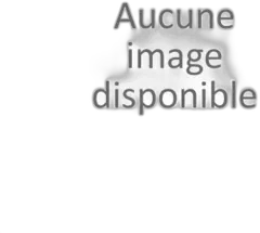 photo du vin Cos d’Estournel 1969 Saint Estephe