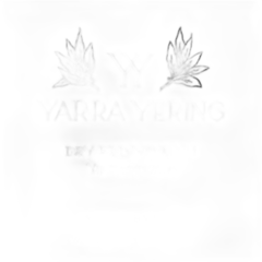 image du vin Yarra Yering Dry Red n°1 2016