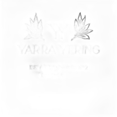 photo du vin Yarra Yering Dry Red n°2 2016