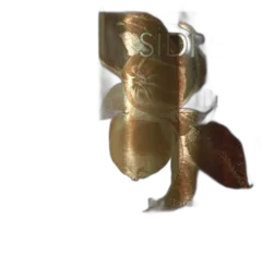 illustration du vin Sidre Brut Éric Bordelet