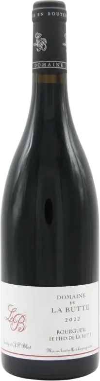 vue du vin Bourgueil le Pied de la Butte 2022 Domaine de la Butte
