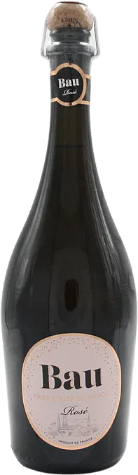 image du vin Bau Frizzant Rosé de Muscat Caeli et Terra