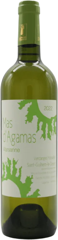 vue du vin Saint-Guilhem-le-Désert Marsanne 2022 Mas d’Agamas