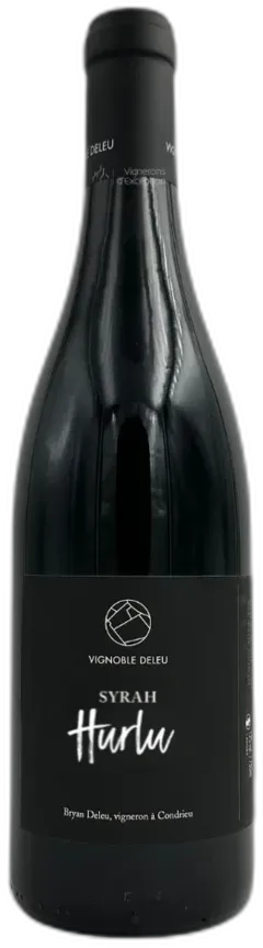 vue du vin Bryan Deleu Vdf "Hurlu" Rouge 2024