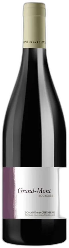 photo du vin Domaine de la Chevalerie Bourgueil "Grand Mont" Rouge 2013