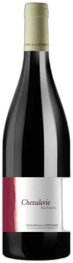 photos du vin Domaine de la Chevalerie Bourgueil "Chevalerie" Rouge 2019