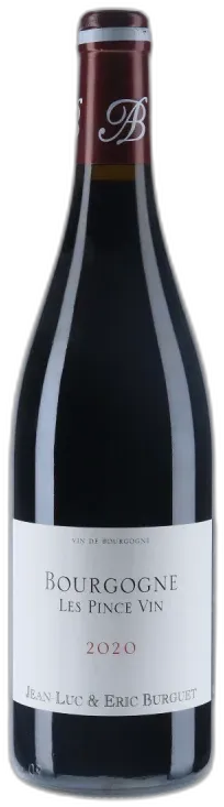 vue du vin Domaine Jean-Luc et Eric Burguet Bourgogne les Pince Vin 2020