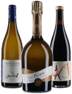 vue du vin "Trio Bbq Bulles, Blanc, Rouge"