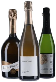 photo du vin Vins " Bulles"