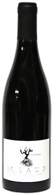 photo du vin Cotes du Rhône les Claux Domaine Raymond Usséglio 2022