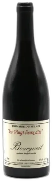 photo du vin Bourgueil les Vingt Lieux Dits Domaine Gauthier