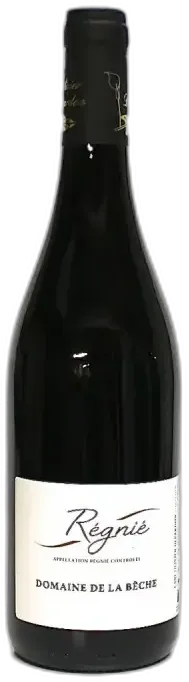 vue du vin Régnié Vignes Domaine de la Bèche