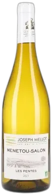 image du vin Menetou-Salon les Pentes Bio 2023